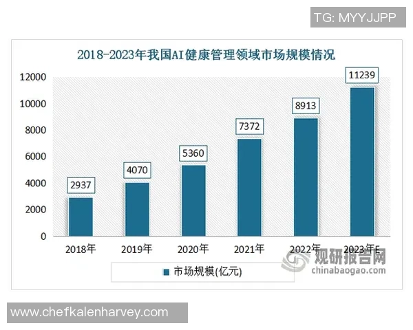 星空娱乐数据目录系统的全面解析与应用探索助力行业创新发展