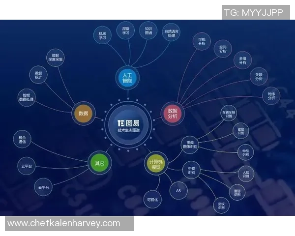 构建6686体育前端监控体系提升用户体验与数据分析能力的探索与实践