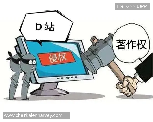 盗播流媒体网站对正版市场的冲击与应对策略探讨